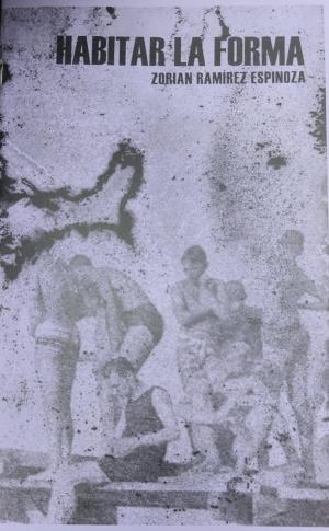 Habitar la forma
